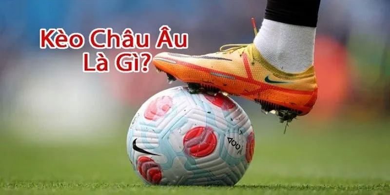 Quy định dự đoán tỷ lệ châu Âu tại sân chơi uy tín