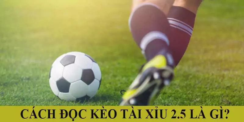 Kèo tài xỉu 2.5 không tồn tại trường hợp hòa tiền